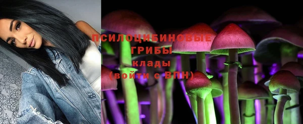 мдпв Майский