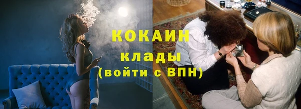 мдпв Майский