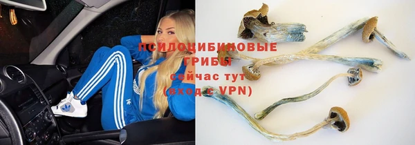 дистиллят марихуана Магас