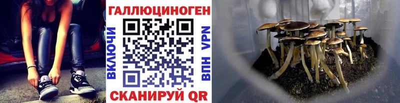 Псилоцибиновые грибы Magic Shrooms  Петушки 